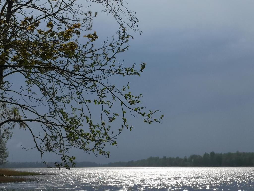 Дома для отпуска DvīņuMājas Балви