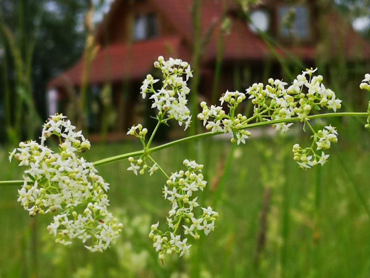 Дома для отпуска DvīņuMājas Балви-41